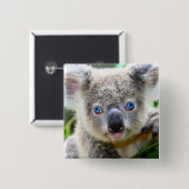 Badge Carré 5 Cm Koala Bear (Devant & derrière)
