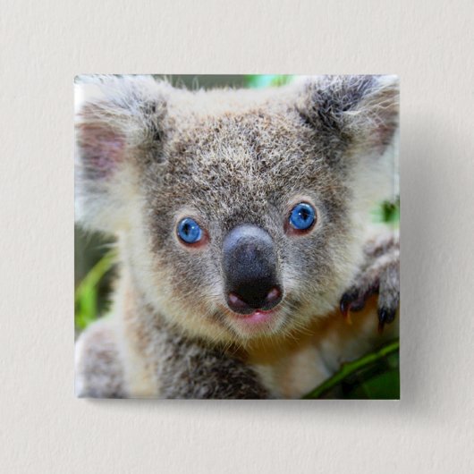 Badge Carré 5 Cm Koala Bear (Devant)