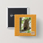 Badge Carré 5 Cm Koala Kitteh (Devant & derrière)