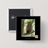 Badge Carré 5 Cm Koala Kitteh (Devant & derrière)