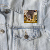 Badge Carré 5 Cm Koala Love_ (En situation)