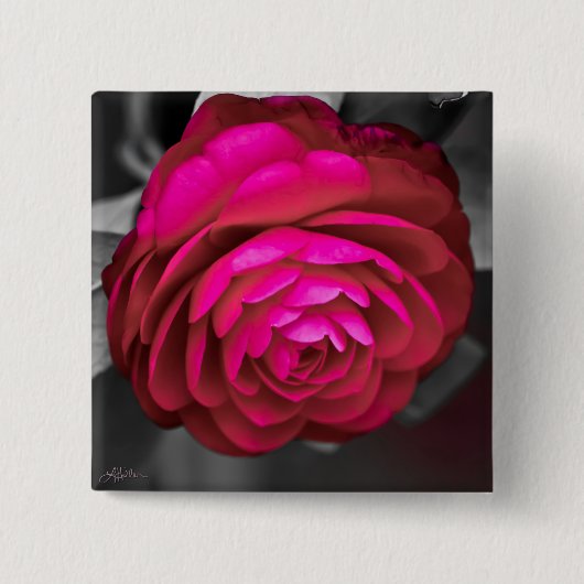 Badge Carré 5 Cm La Camellia Rosy (Devant)