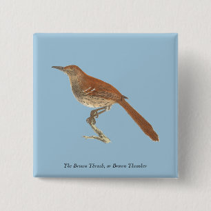 Badge Carré 5 Cm La Grive Brown ou le Trasher Brown, New York Birds