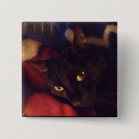 Badge Carré 5 Cm La plupart de bouton beau (Devant)