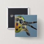 Badge Carré 5 Cm La tête des cerfs communs volent (Devant & derrière)