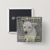 Badge Carré 5 Cm La tristesse que vous voyez dans un chien d'abri (Devant & derrière)