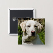 BADGE CARRÉ 5 CM LABRADOR DOG (Devant & derrière)