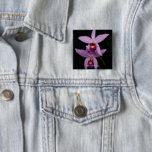 Badge Carré 5 Cm Laelia Anceps (En situation)