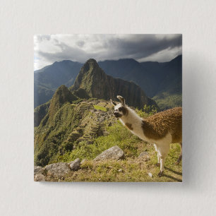 Badge Carré 5 Cm Lamas et un regard sur Machu Picchu,