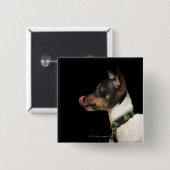 Badge Carré 5 Cm Langue du Terrier noir et blanc (Devant & derrière)