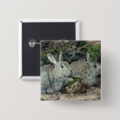 Badge Carré 5 Cm Lapins (Devant & derrière)