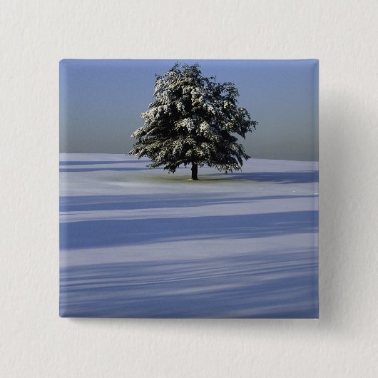 Badge Carré 5 Cm L'arbre dans la neige a couvert le paysage (Devant)