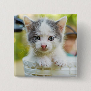 Badge Carré 5 Cm Le chaton monte un vélo