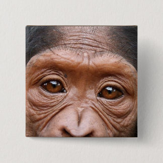 BADGE CARRÉ 5 CM LE CHIMPANZÉ OBSERVE LE BOUTON