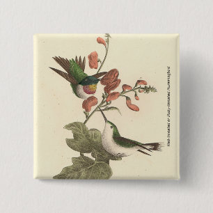 Badge Carré 5 Cm Le colibri à gorge rouge ou à gorge rubis