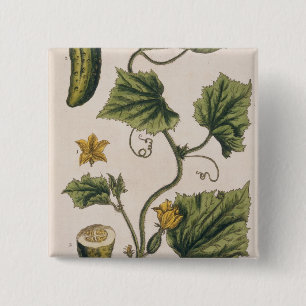 Badge Carré 5 Cm Le concombre de jardin, plaquent 4 "d'un de fines