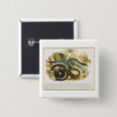 Badge Carré 5 Cm Le constricteur de boa, pub. éducatif (Devant & derrière)