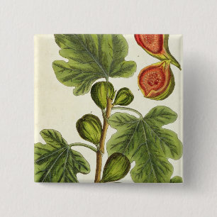 Badge Carré 5 Cm Le figuier, plaquent 125 "d'un de fines herbes