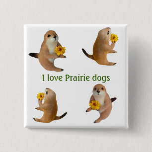 Badge Carré 5 Cm le jouet bourré de chien de prairie