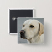 Badge Carré 5 Cm Le Labrador doré (Devant & derrière)