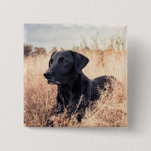 Badge Carré 5 Cm Le Labrador Noir En Graine Sèche