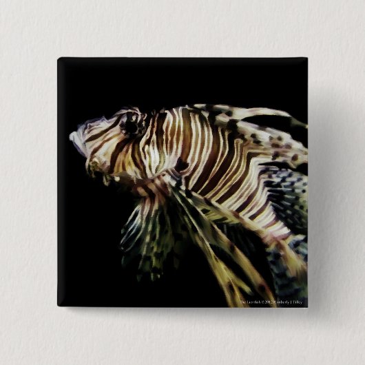 Badge Carré 5 Cm Le poisson-Lion (Devant)