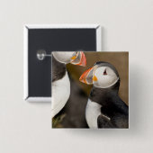 Badge Carré 5 Cm Le Puffin Atlantique (Devant & derrière)