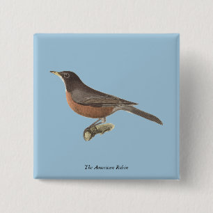 Badge Carré 5 Cm Le Robin américain (Turdus migratorius) NY Birds