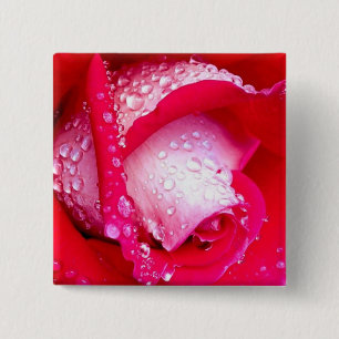 Badge Carré 5 Cm Le rouge/rose Rosée-Embrassé s'est levé