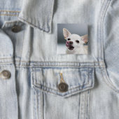 Badge Carré 5 Cm Lécher les lèvres blanches du Chihuahua (En situation)