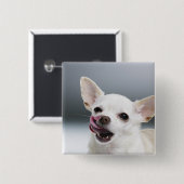 Badge Carré 5 Cm Lécher les lèvres blanches du Chihuahua (Devant & derrière)