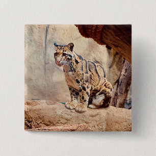 Badge Carré 5 Cm léopard nébuleux image nature faune exotique