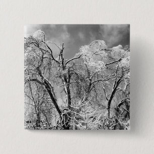 Badge Carré 5 Cm les arbres portent l'hiver