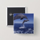 Badge Carré 5 Cm Les dauphins des Caraïbes (Devant & derrière)