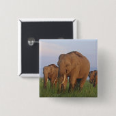 Badge Carré 5 Cm Les éléphants indiens dans les Prairies (Devant & derrière)