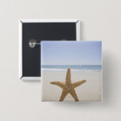 Badge Carré 5 Cm Les Etats-Unis, le Massachusetts, Cape Cod, (Devant & derrière)