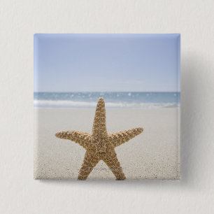 Badge Carré 5 Cm Les Etats-Unis, le Massachusetts, Cape Cod,