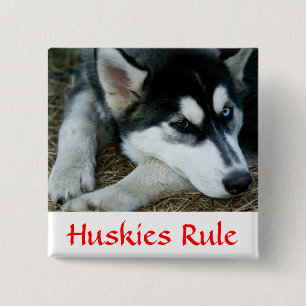 Badge Carré 5 Cm Les Huskies gouvernent le bouton Sibérien Husky P