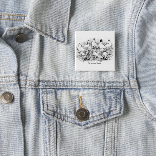Badge Carré 5 Cm Les Pigeons Tumbler à courte vue (En situation)