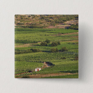 Badge Carré 5 Cm Les vignobles de Smokvica sur Korcula de la Toreta