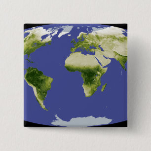 Badge Carré 5 Cm L'index normal de végétation de différence