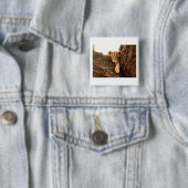 Badge Carré 5 Cm Lion CUB (En situation)