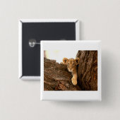 Badge Carré 5 Cm Lion CUB (Devant & derrière)