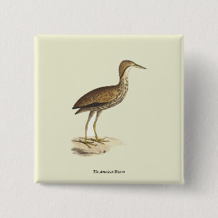 Badge Carré 5 Cm L'oiseau de Bittern américain (Botaurus lentiginos