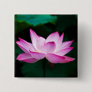 Badge Carré 5 Cm Lotus rose