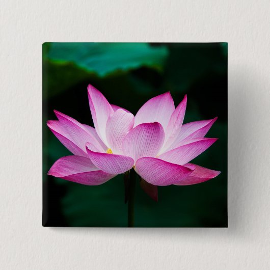 Badge Carré 5 Cm Lotus rose (Devant)