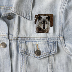 Badge Carré 5 Cm Loup gris dans la neige