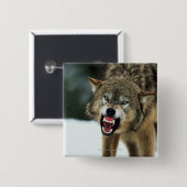 Badge Carré 5 Cm Loup gris narling (Devant & derrière)