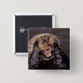 Badge Carré 5 Cm Loutres de mer, Enhydra lutris 6 (Devant & derrière)