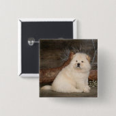 Badge Carré 5 Cm Love Chow Chow Puppy Chien Pin (Devant & derrière)